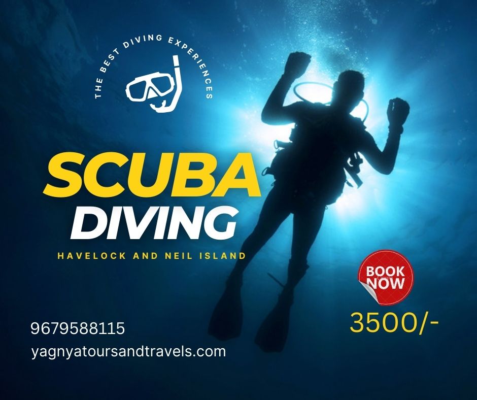 scuba diving 